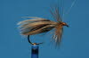 Entenfl�gel Caddis