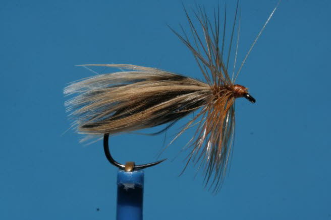 Entenfl�gel Caddis