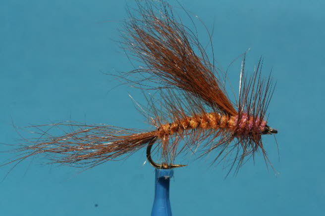 Oranger Stimulator