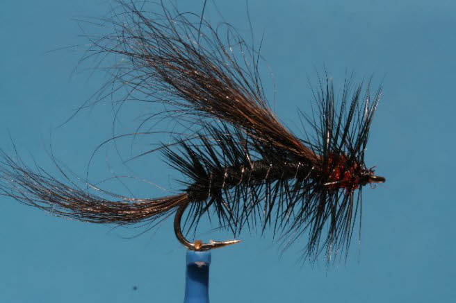 Schwarzer Stimulator