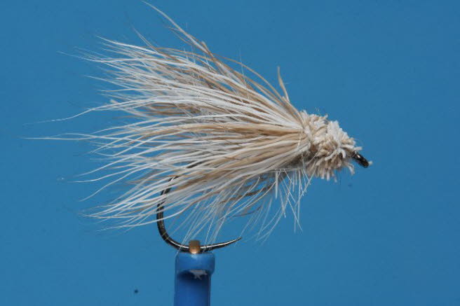 Rentier Caddis