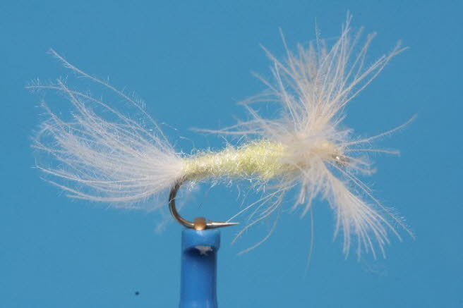 Split Wing Dun