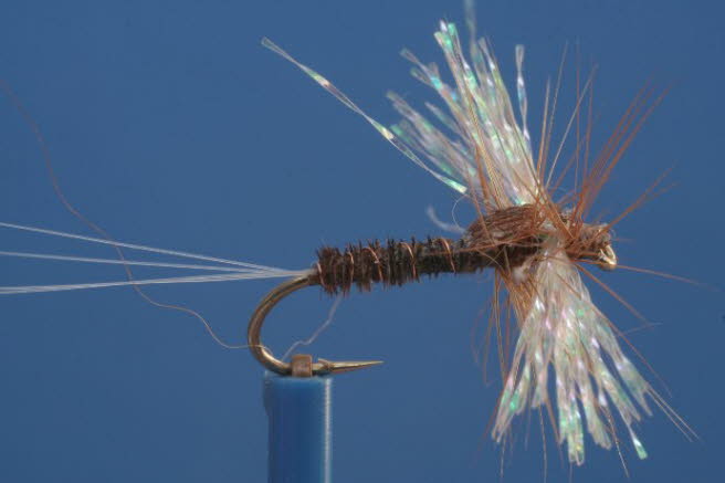 Fasanenschwanz Spinner