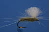 Light olive Parachute