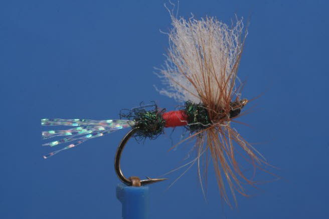 Synthetic Coachman