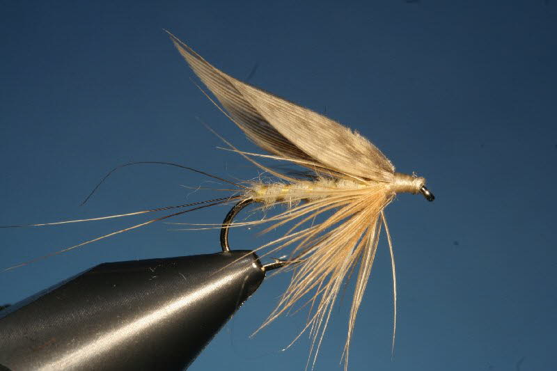 42. The Whirling Blue Dun 42. The Whirling Blue Dun
