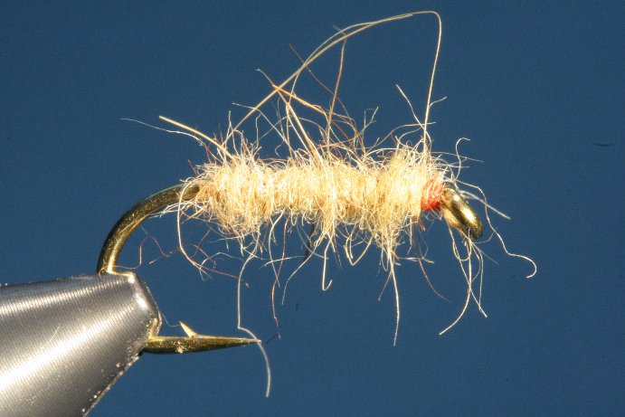 fertiger Fliegenk�rper